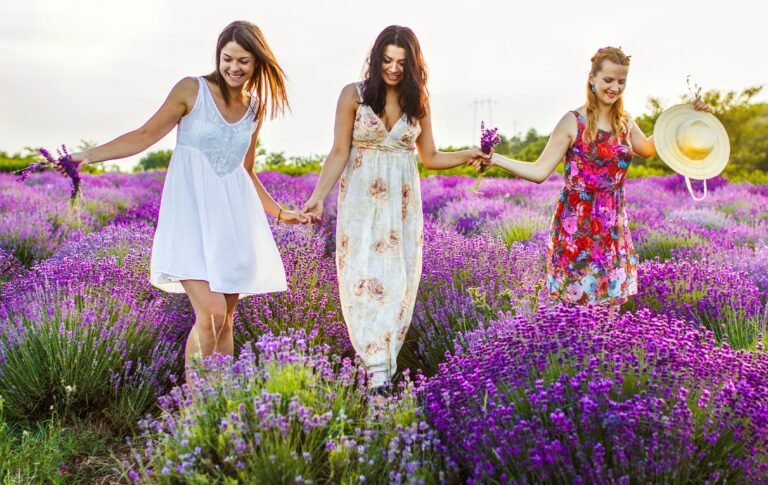 En popüler festival rotaları