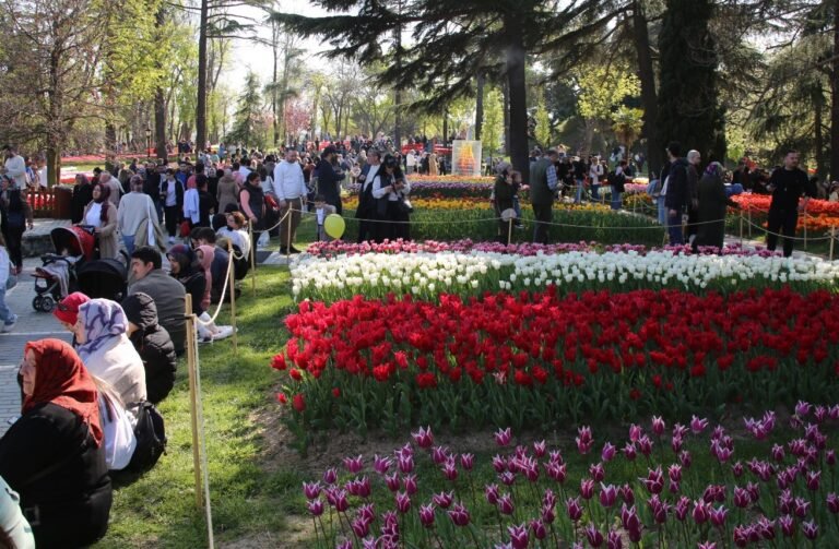 Lale Bayramı İstanbul