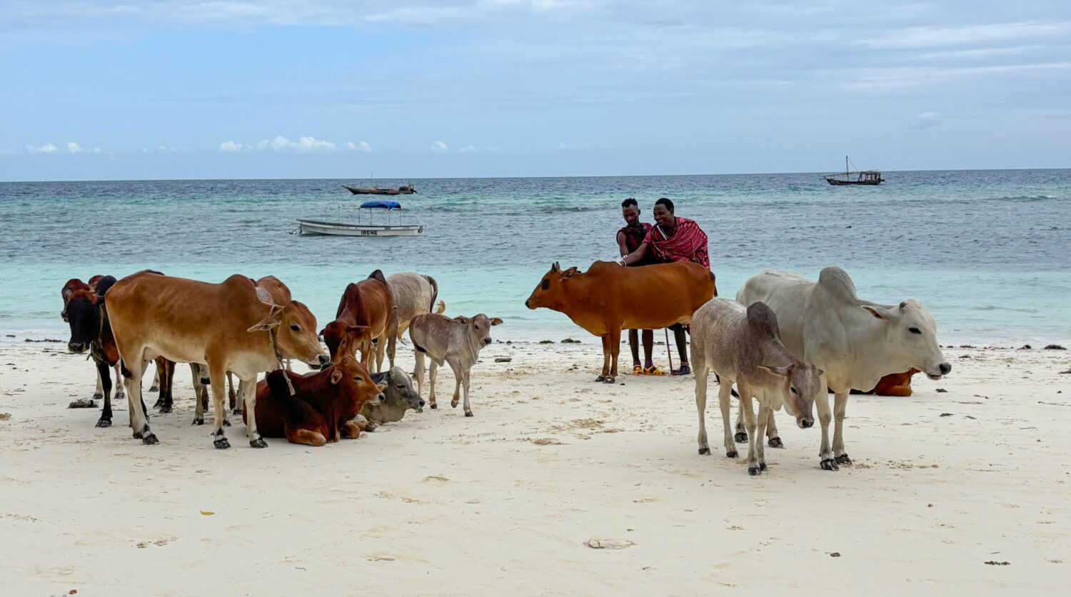 Asante sana Zanzibar: Hint Okyanusu’nda unutulmaz bir gezi