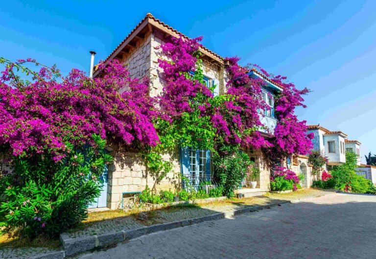 Deniz tatili rotaları: Otobüsle kolayca ulaşın