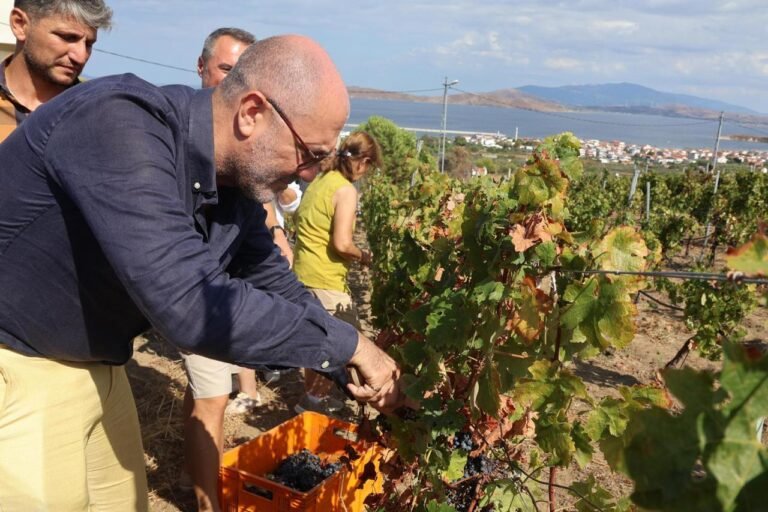 'Bir Başkadır Avşa' etkinliği 6 Eylül'de başlıyor