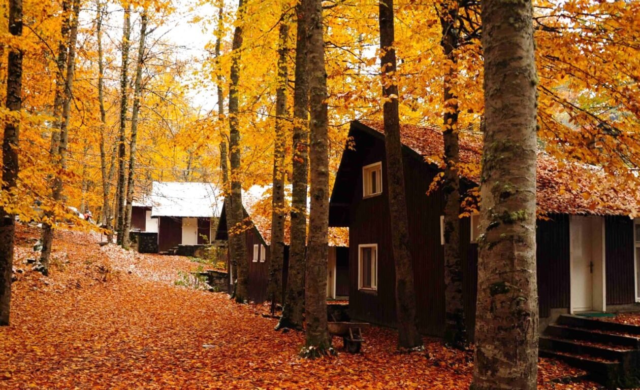 Sonbaharda fotoğraf tutkunları için 6 harika rota