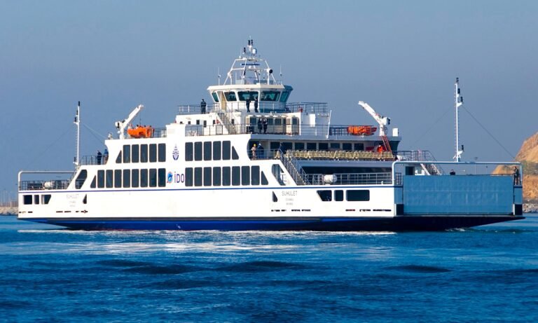 İDO 2025'te 31 milyon yolcu ve 13 milyon araç taşıdı