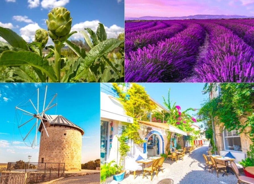 Festival mevsimi başlıyor: İşte en güzel beş rota!