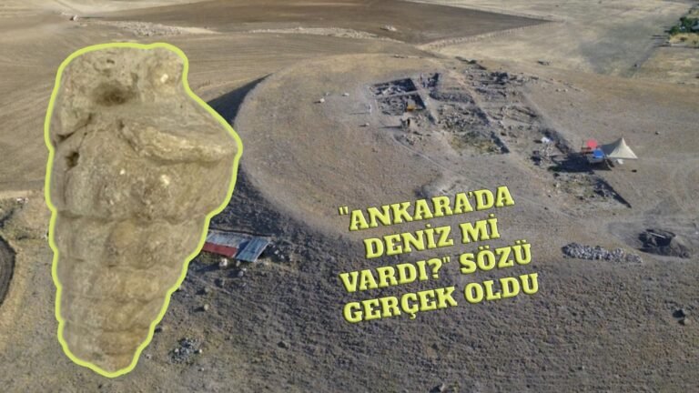 Külhöyük kazılarında deniz fosili bulundu